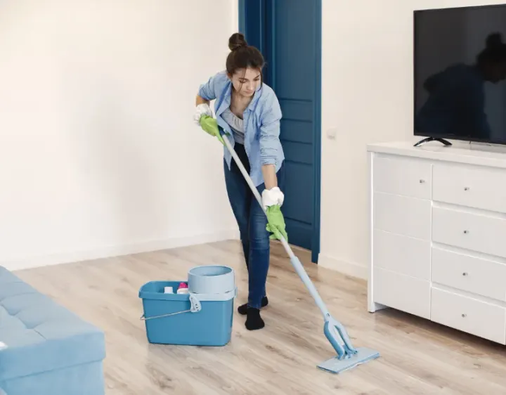 Femme de ménage Grassac